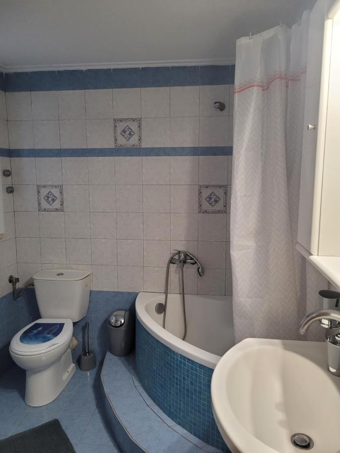 Apartment Center Arta