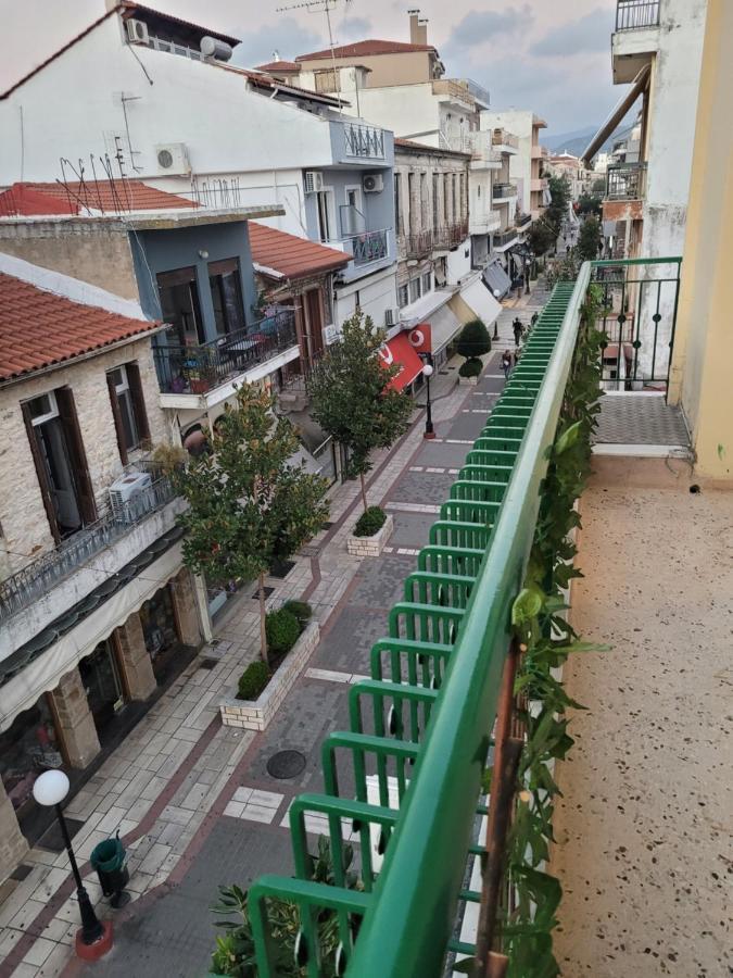 Apartment Center Arta